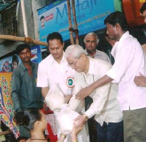 picture79.jpg